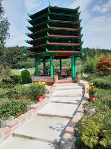 2025-09-09 030 (600x800)